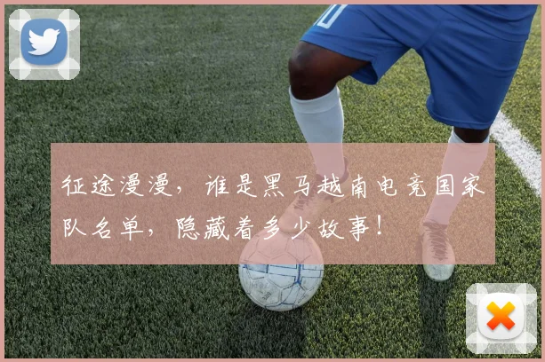 征途漫漫,谁是黑马越南电竞国家队名单,隐藏着多少故事!