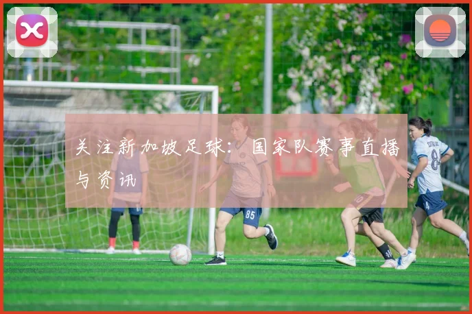 关注新加坡足球:国家队赛事直播与资讯