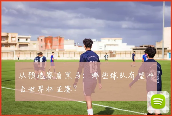 从预选赛看黑马：哪些球队有望冲击世界杯正赛？
