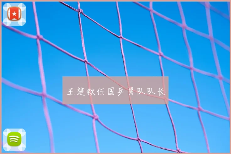 王楚钦任国乒男队队长