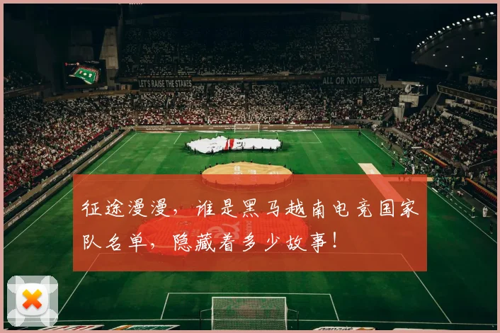 征途漫漫，谁是黑马越南电竞国家队名单，隐藏着多少故事！