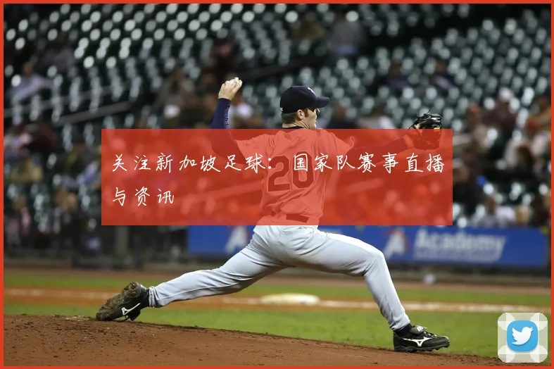 关注新加坡足球：国家队赛事直播与资讯