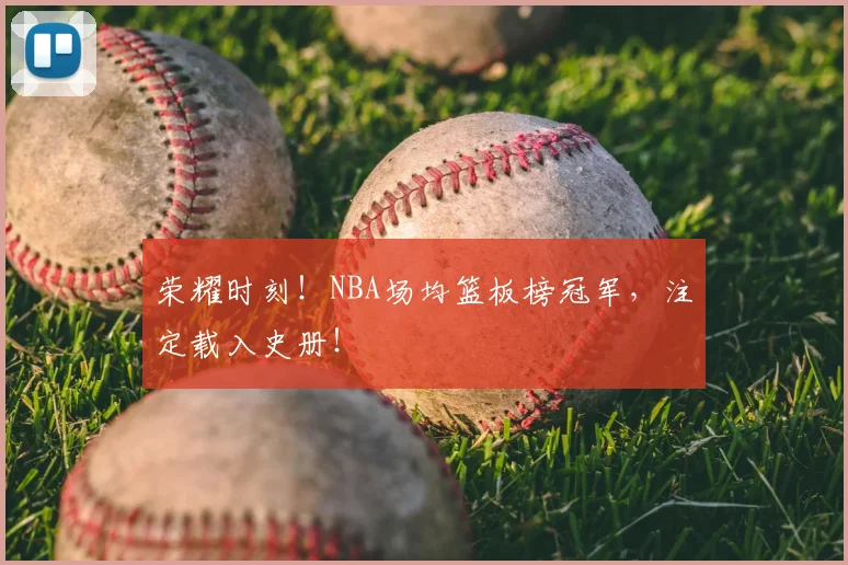 荣耀时刻!NBA场均篮板榜冠军,注定载入史册!